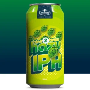 Bine 2 Brew Hazy IPA - 500ml